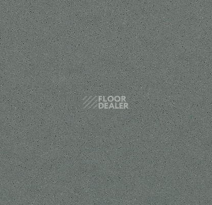 Линолеум Forbo SureStep Steel 177982 metallic carbon фото 1 | FLOORDEALER